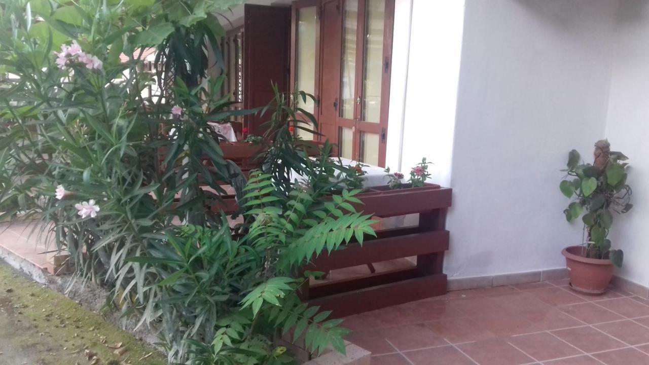 לינה וארוחת בוקר פאלינורו A Casa Di Nene מראה חיצוני תמונה