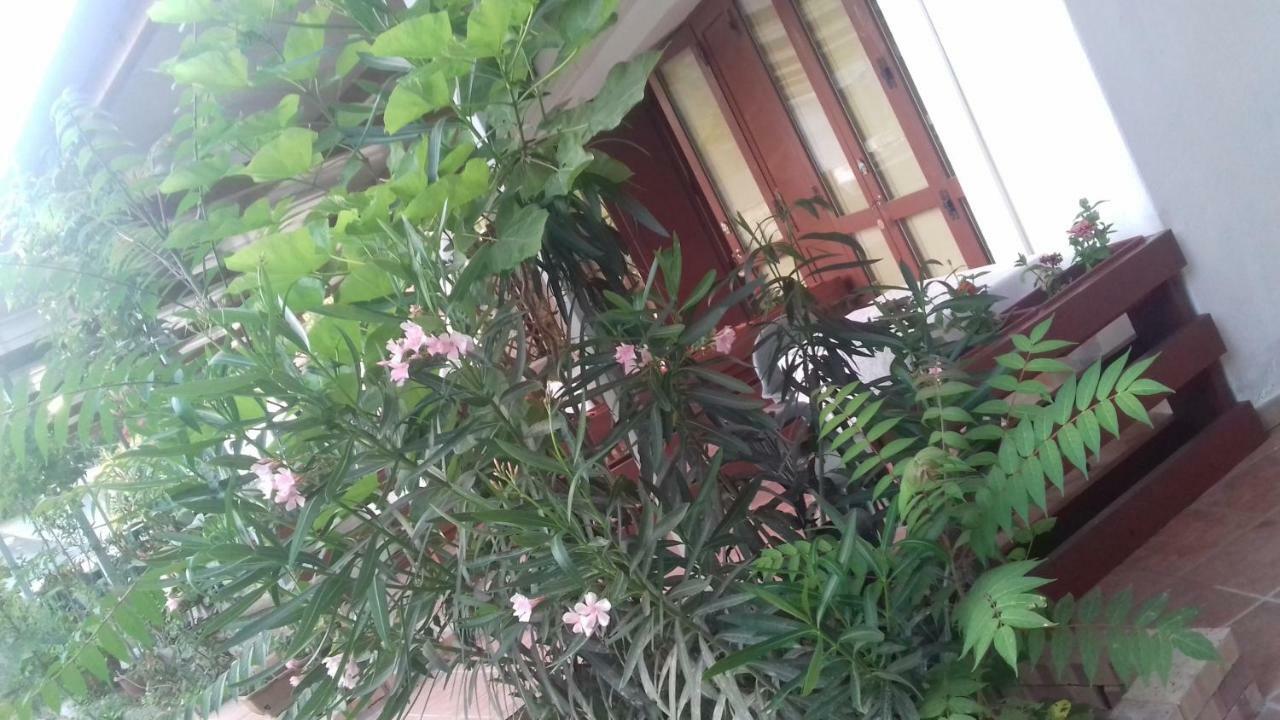 לינה וארוחת בוקר פאלינורו A Casa Di Nene מראה חיצוני תמונה
