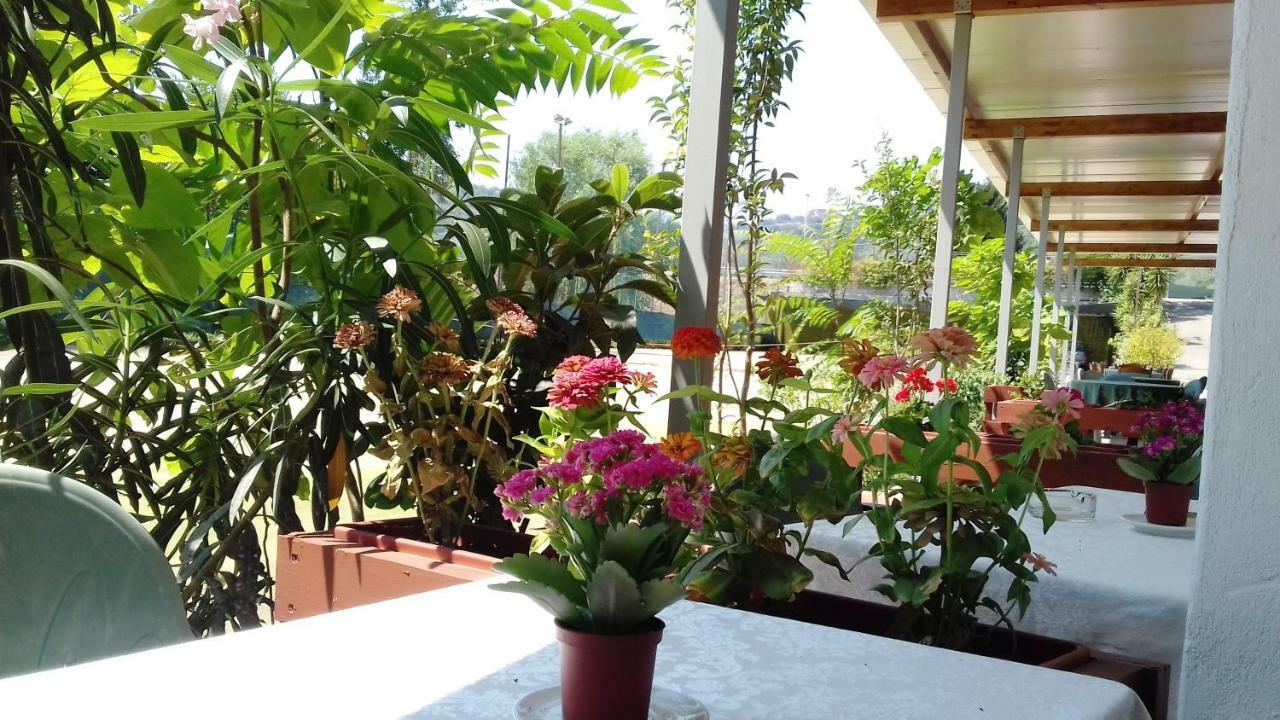לינה וארוחת בוקר פאלינורו A Casa Di Nene מראה חיצוני תמונה